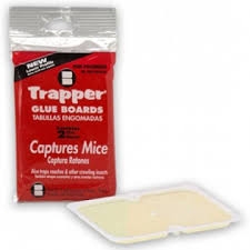 Trapper Mouse Glue Board - 96/case